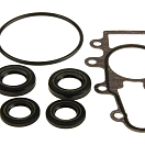 Ремкомплект редуктора Suzuki DF25 2ц 2570095J00000