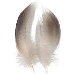 Baetis 62275 Real Утиное перо Серый  1