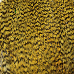 Baetis 91302165/BA Colgadera Перо Многоцветный  Grizzly Dyed Golden Oli