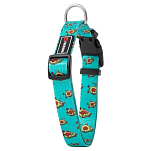 Freedog 10412002 Avocado Воротник  Blue / Green 20 mm x 35-60 cm