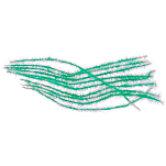 Baetis DBE067/WA Barid Дубляж  067
