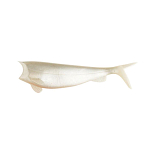 Hart IHVASS10069 Aboslut Soft Shad 100 Mm 4/5 Единицы Серебристый 69