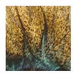 Baetis PLGEXPFLORESCOBA Extra Коричневое львиное перо Многоцветный Flower Broom