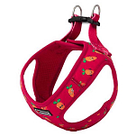 Freedog 10432003 Carrot Обуздать  Red / Orange 20-35 cm