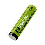 Tm electron TMVH-AAA700H R03 NI-MH x2 Аккумуляторы ААА 700mAh Бесцветный Green