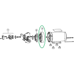 Flojet 21040142A Нижний корпус Triplex (круглая головка), Santoprene