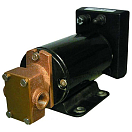 Купить Groco 34-GPBR1 Gear Reversing 12V Насос Черный 7ft.ru в интернет магазине Семь Футов