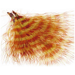 Baetis BBMOR Barred Marabou Перо Многоцветный  Olive / Rust
