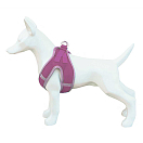 Купить Freedog 10072007 Soft Обуздать Розовый  Pink 20-35 cm 7ft.ru в интернет магазине Семь Футов