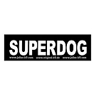 Купить Julius k-9 162LR-K-47520 Этикетка ремня безопасности Superdog 2 Units Черный Small 7ft.ru в интернет магазине Семь Футов