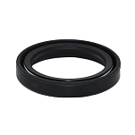 Bukh 620A1239 Задний радиальный уплотнительный элемент BW7 Серебристый Black