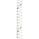 Купить Poly ropes POL2209914025 Racing 2002 250 m Веревка  White 2.5 mm 7ft.ru в интернет магазине Семь Футов