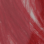 Baetis OH056/WA Страусиное перо Красный  Red