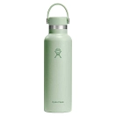 Купить Hydro flask S21CSX338 термос Standard Flex 620ml  Aloe 7ft.ru в интернет магазине Семь Футов