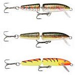 Rapala RA5818498 J11 Floating Шарнирный гольян 110 Mm 9g Многоцветный YP