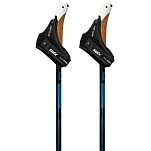 Swix RCD20-01-1700 трости Dynamic D2  Black 170 cm