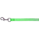 Купить Freedog 10021513 Nylon Basic Поводок Зеленый  Lime 15 mm x 120 cm 7ft.ru в интернет магазине Семь Футов
