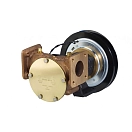 Купить Jabsco z50220-0111-fniz50220 насос с фланцем электромагнитной муфты 24V Bronze / Black 20x20x15 1 1/2´´ 7ft.ru в интернет магазине Семь Футов