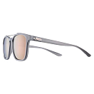 Купить Nike 40431-5418066 Windfall Зеркальные Солнцезащитные Очки Matte Wolf Grey / Pink Light Grey/CAT 3 Mirrored 7ft.ru в интернет магазине Семь Футов