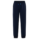 North sails 673115-0802-XL Спортивные штаны Logo Голубой Navy Blue XL
