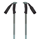 Купить Black diamond BD1125493053ALL1 Trail Sport Поляки Серебристый Laurel Green 100-140 cm 7ft.ru в интернет магазине Семь Футов