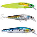 Купить Shimano fishing 59VXM299V06 Exsence Silent Assassin Floating Floating B Пескарь 99 Mm 14g Многоцветный 007 7ft.ru в интернет магазине Семь Футов