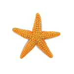 Safari ltd S276829 Starfish Sea Life Фигура Оранжевый Orange From 3 Years 