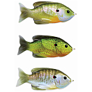 Купить Live target SFH90T550 Sunfish Walking Мягкая приманка 90 mm 18g Золотистый Natural / Olive Bluegill 7ft.ru в интернет магазине Семь Футов