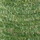Купить Textreme SMCA-13-UNIT Гусеница Micro Cactus 3 m  Green 0.800 mm 7ft.ru в интернет магазине Семь Футов