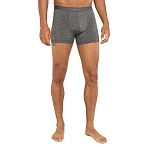 Icebreaker 0A571V013L Боксёр Merino 125 Cool-Lite Anatomica Серый Gritstone Heather 013 L