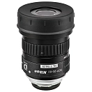 Купить Nikon BDB90182 Ocular SEP 16 16-48x/20-60x For Prostaff 5 Telescopes Black 7ft.ru в интернет магазине Семь Футов