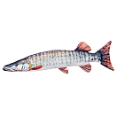 Купить Gaby GP-780132 The Muskellunge Medium Серый  White / Black / Bronze 7ft.ru в интернет магазине Семь Футов