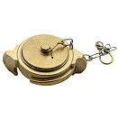 Купить Lalizas 74504 Blank Cap&Chain Storz 2 1/2´´ Золотистый Brass 7ft.ru в интернет магазине Семь Футов