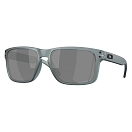 Купить Oakley OO9102-Z455-57 Поляризационные солнцезащитные очки Holbrook Бесцветный Matte Crystal Black Prizm Black Polar/CAT3 7ft.ru в интернет магазине Семь Футов