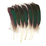Baetis 62394 Mcginty Quill Перо Черный