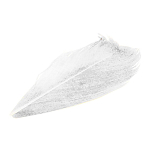 Baetis SC000/VE Condor Заменять Белая  White