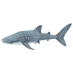 Safari ltd S422129 Whale Shark Sea Life Фигура Голубой Grey From 3 Years 