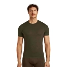 Купить Icebreaker 1030330l1/xl Базовый слой с коротким рукавом Anatomica Crewe Dark Loden 30x25x2 7ft.ru в интернет магазине Семь Футов