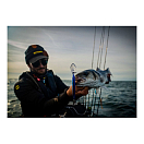 Купить Воблер SPRO Gutsbait Minnow SR 4797-403 110мм 13гр крючок №5 глубина погружения 0,8м цвет White Minnow 7ft.ru в интернет магазине Семь Футов