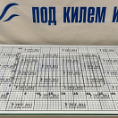 Купить Коптильня походная Kinetic Smoker W2 2 горелки 420x260x120мм 3,3кг из нержавеющей стали 7ft.ru в интернет магазине Семь Футов
