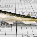Купить Мягкая приманка Quantum fishing Pelagic Shad Set Pin 3460005 210мм 60г цвет Game Over 7ft.ru в интернет магазине Семь Футов