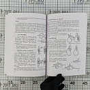 Купить Хождение на парусной яхте для детей и взрослых Девид Сейдман 7ft.ru в интернет магазине Семь Футов