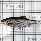 Купить Силиконовая мягкая приманка Westin Ricky The Roach Shadtail P013-551-136 180мм 85гр цвет Real Roach 7ft.ru в интернет магазине Семь Футов