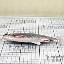 Купить Силиконовая мягкая приманка Westin Ricky The Roach Shadtail P013-551-136 180мм 85гр цвет Real Roach 7ft.ru в интернет магазине Семь Футов