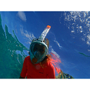 Купить Маска полнолицевая детская для подводного плавания OceanReef ARIA Junior OR019052 XS белый 7ft.ru в интернет магазине Семь Футов