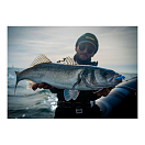 Купить Воблер SPRO Gutsbait Minnow MR 4797-202 110мм 14гр крючок №5 глубина погружения 1,5м цвет Chartreuse Minnow 7ft.ru в интернет магазине Семь Футов