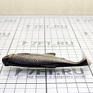 Купить Силиконовая мягкая приманка Westin Ricky The Roach Shadtail P013-551-010 100мм 14гр цвет Real Roach 7ft.ru в интернет магазине Семь Футов