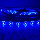 Купить Светодиодный модуль Foresti & Suardi Strip Led 8321.12.BLU 12 В 4,8 Вт/м 5000 мм синий свет 7ft.ru в интернет магазине Семь Футов