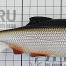Купить Силиконовая мягкая приманка Westin Ricky The Roach Shadtail P013-136-136 180мм 85гр цвет Lively Roach 7ft.ru в интернет магазине Семь Футов