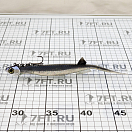 Купить Мягкая приманка Quantum fishing Pelagic Shad Set Pin 3460003 210мм 60г цвет Tricky Day 7ft.ru в интернет магазине Семь Футов